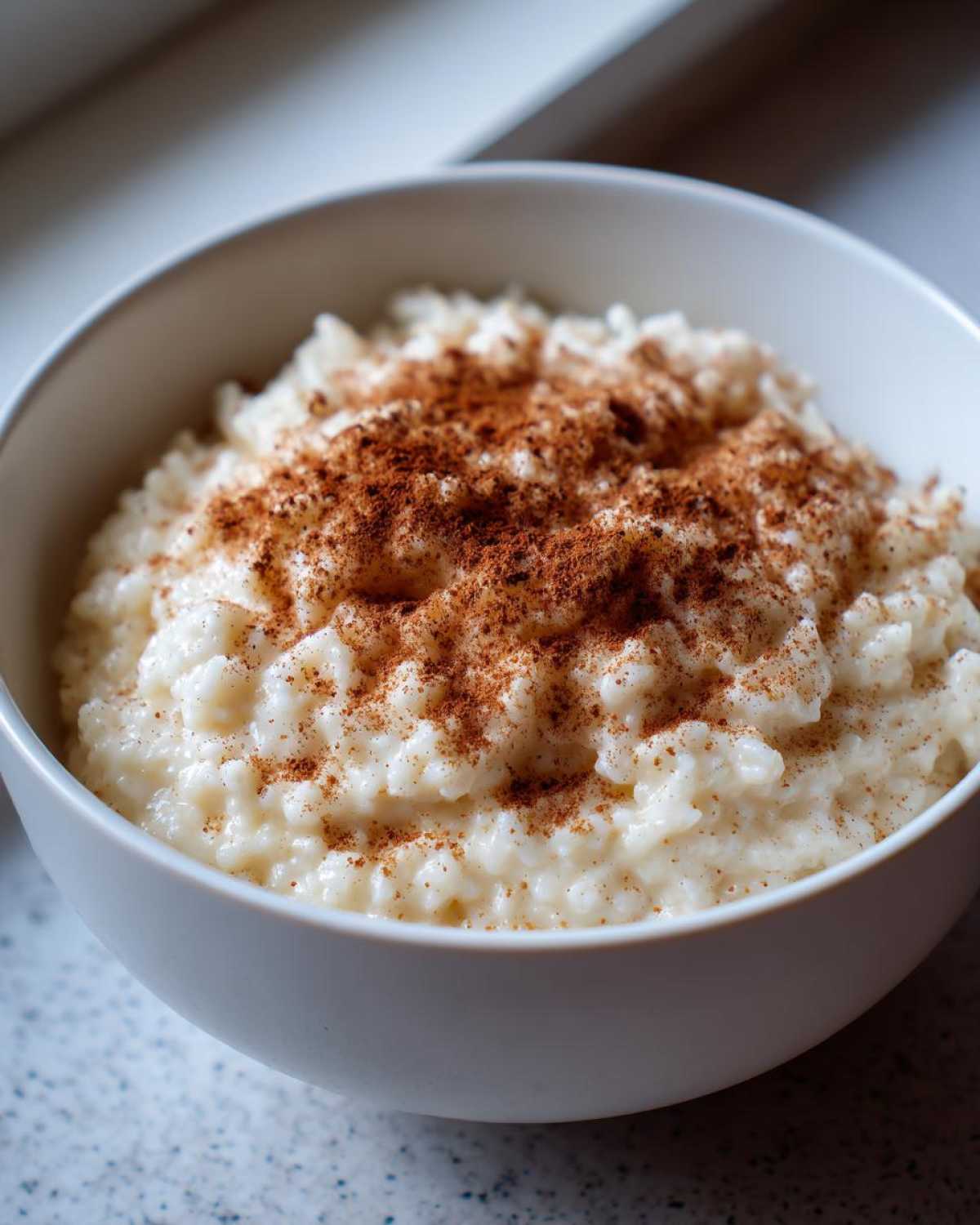Close-up of a white bowl filled with creamy rice pudding generously sprinkled with ground cinnamon.