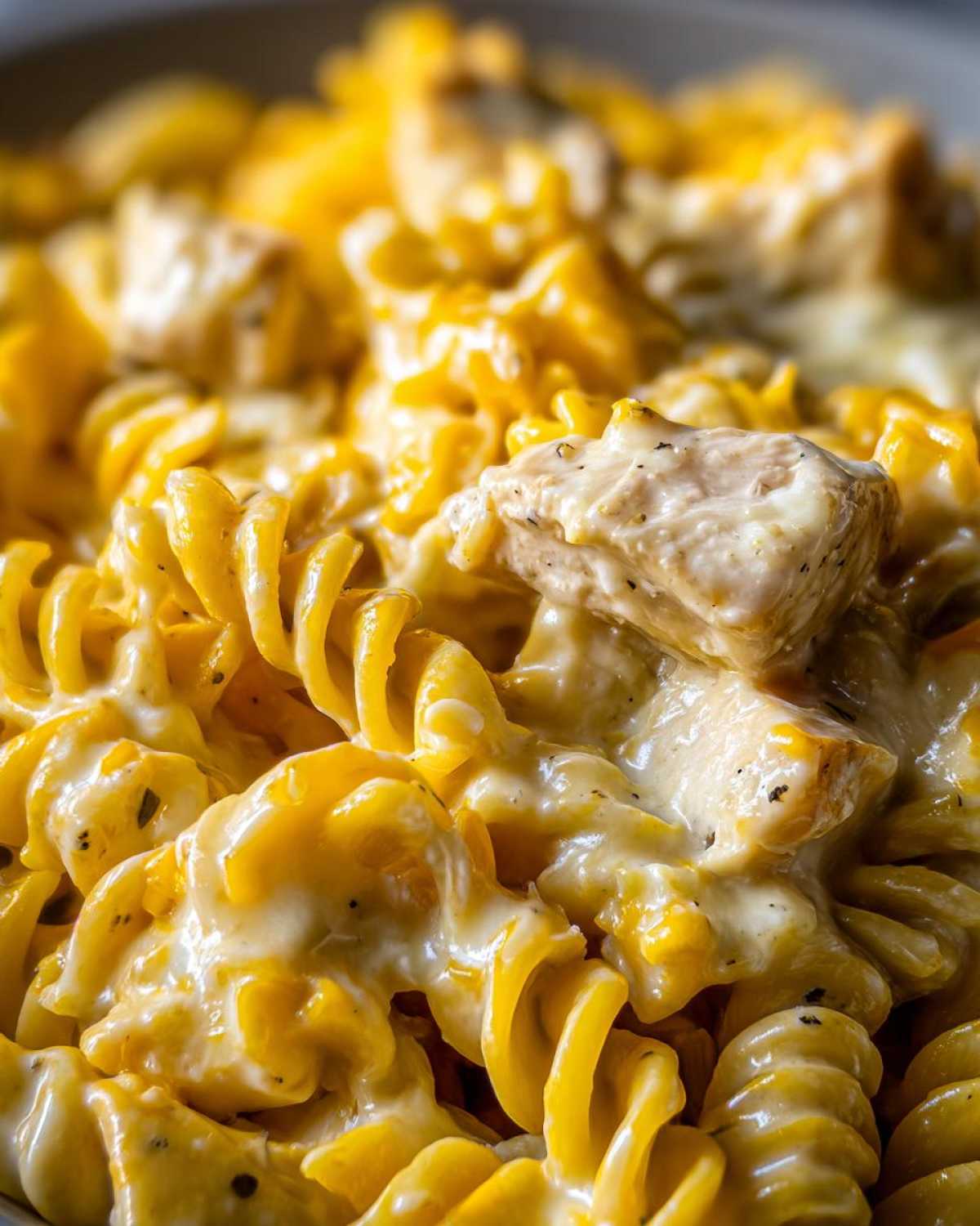 Extreme close-up of rotini pasta coated in a rich, creamy, cheesy sauce with visible chunks of seasoned chicken.