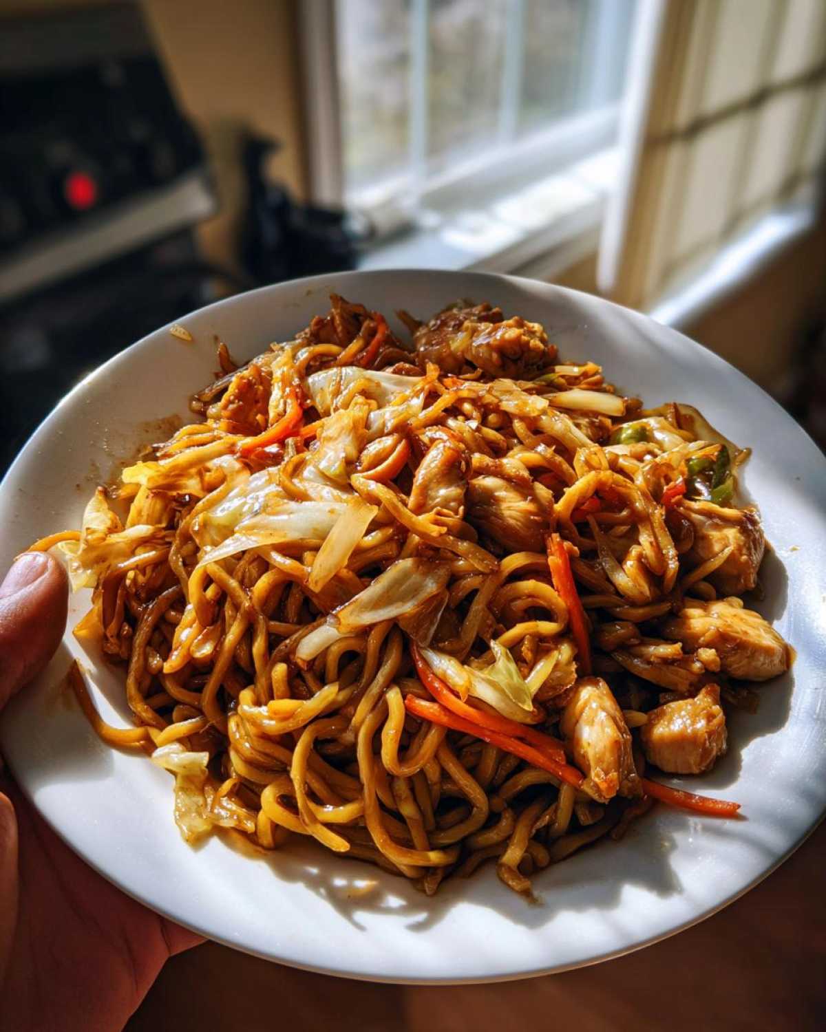 A close-up of a white plate piled high with glossy Chicken Lo Mein noodles, chicken pieces, cabbage, and carrots, held up near a sunny window.